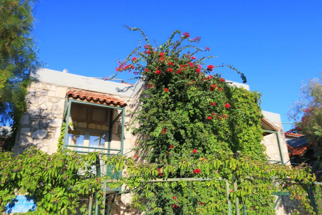 Green House Apart Hotel Gumbet ภายนอก รูปภาพ